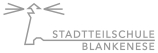 stsb sw